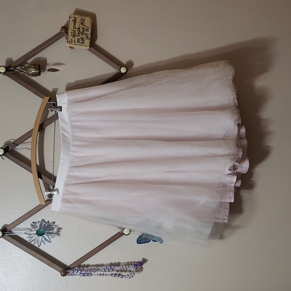 Charlotte Russe Dresses & Skirts - Tulle Skirt
